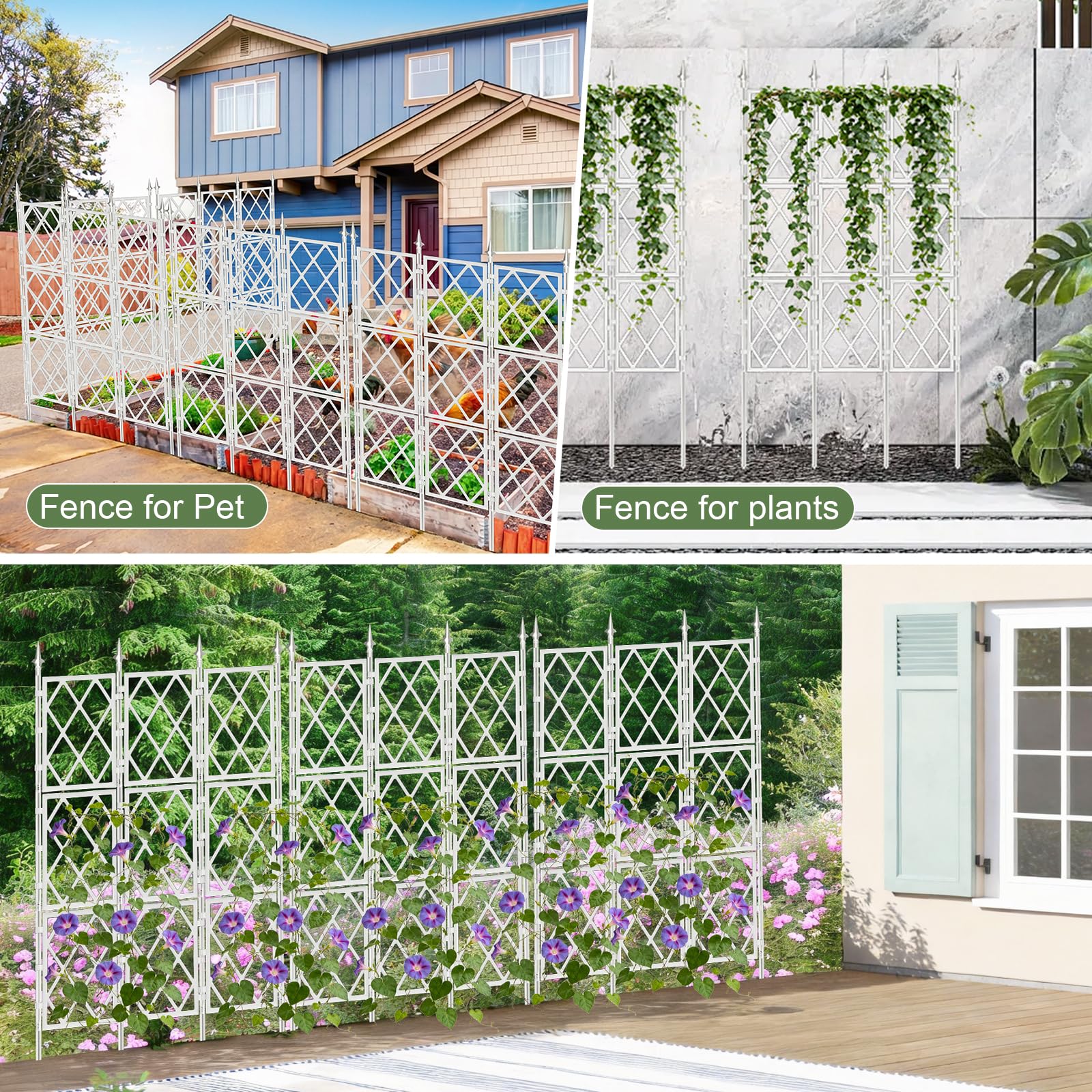 ParseBio indoor plant trellis supports ivy and climbing greens in pots.