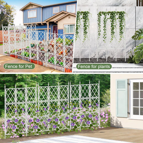 ParseBio indoor plant trellis supports ivy and climbing greens in pots.