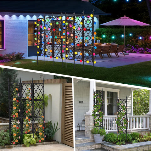 ParseBio night lighting on trellis creates subtle evening ambiance.