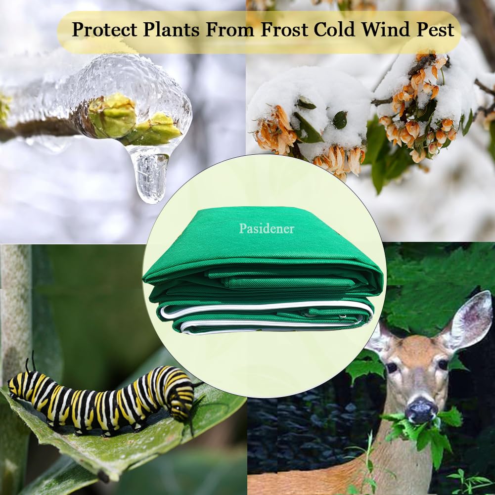 Pasidener breathable fabric close-up highlighting light and moisture permeability