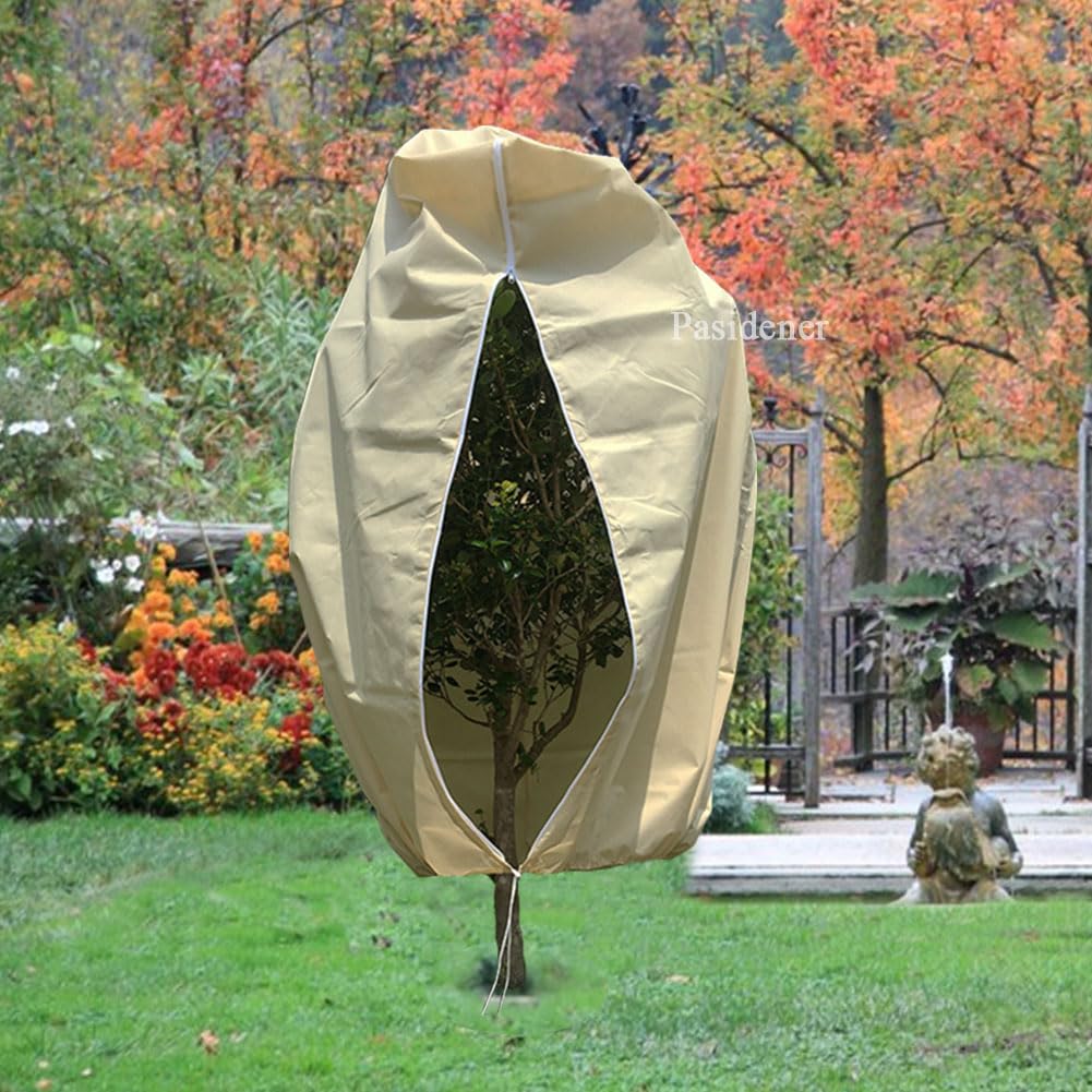 Pasidener palm tree and shrub cover simplifies winter protection