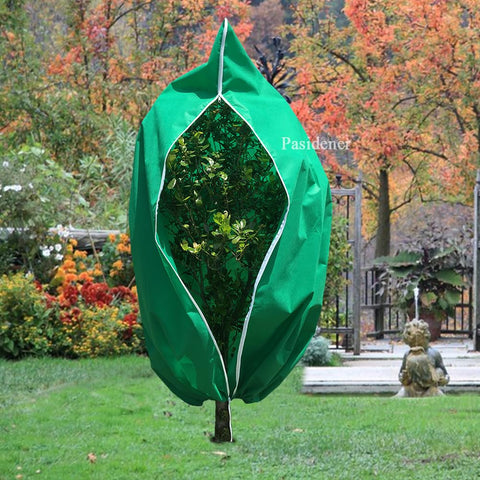 Pasidener wind-resistant plant cover stays secure in gusty weather.