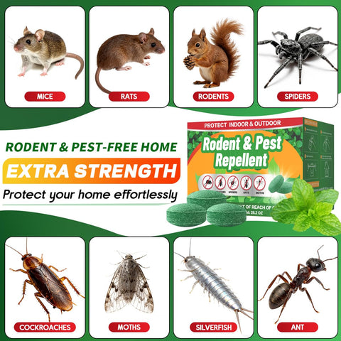 Paslda peppermint mouse repellent pouches in garage provide long lasting deterrence
