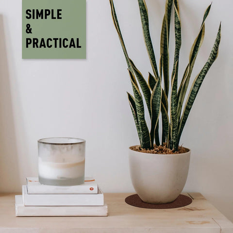 Patelai cork plant coasters 10-inch suitable for oversized planters and surfaces.