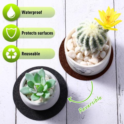 Patelai cork plant coasters 8-inch for larger plant bases and extra protection.