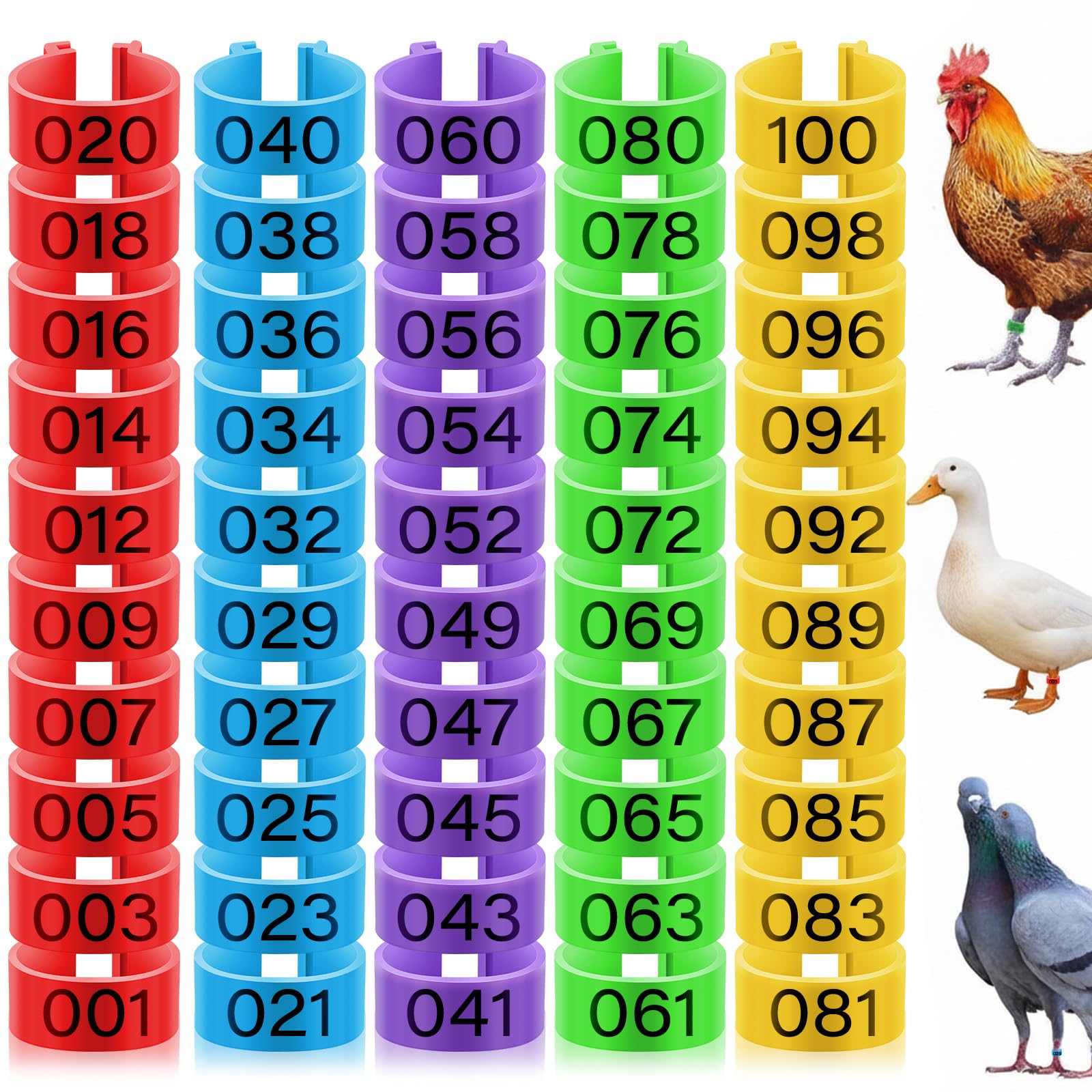 Patelai 16mm chicken leg rings colorful pack helps quick bird identification in the yard.