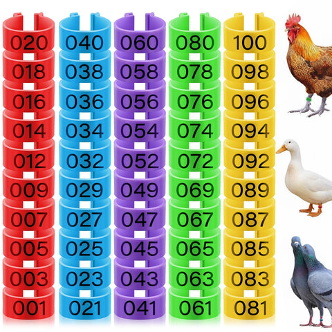 Patelai 16mm chicken leg rings colorful pack helps quick bird identification in the yard.