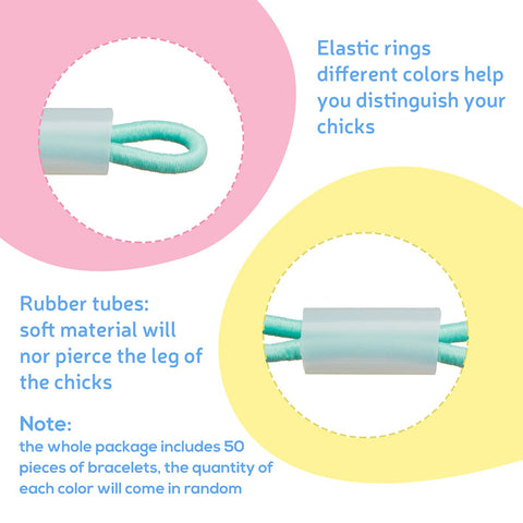 Patelai leg band elastic rings closeup highlighting adjustable fit for spraddle leg support.