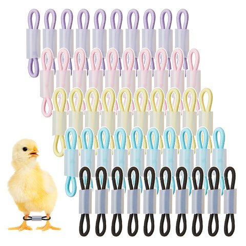 Patelai baby chick leg bands package with 50 elastic rings for easy use.