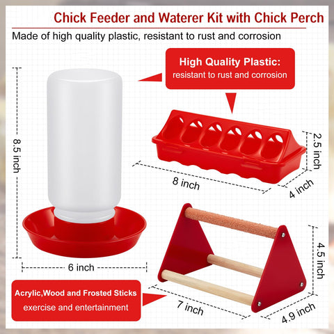 Patelai chick-feeder-holes closeup highlighting 12 feeding holes to reduce waste