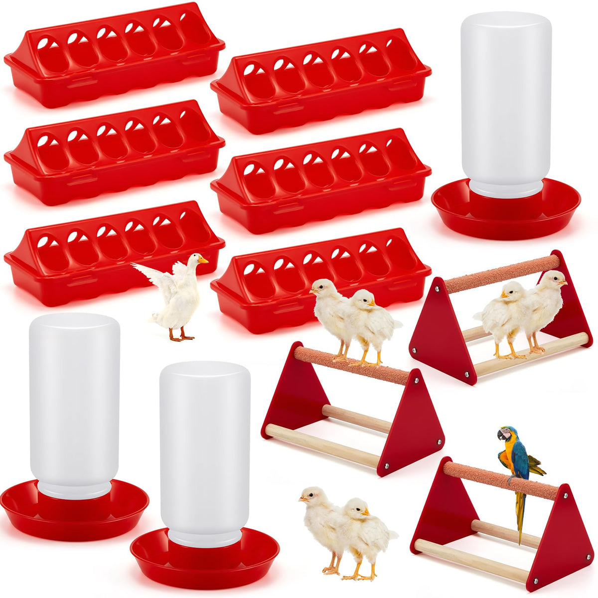 Patelai chick feeder kit showing organized feeding with 12 holes for small flocks