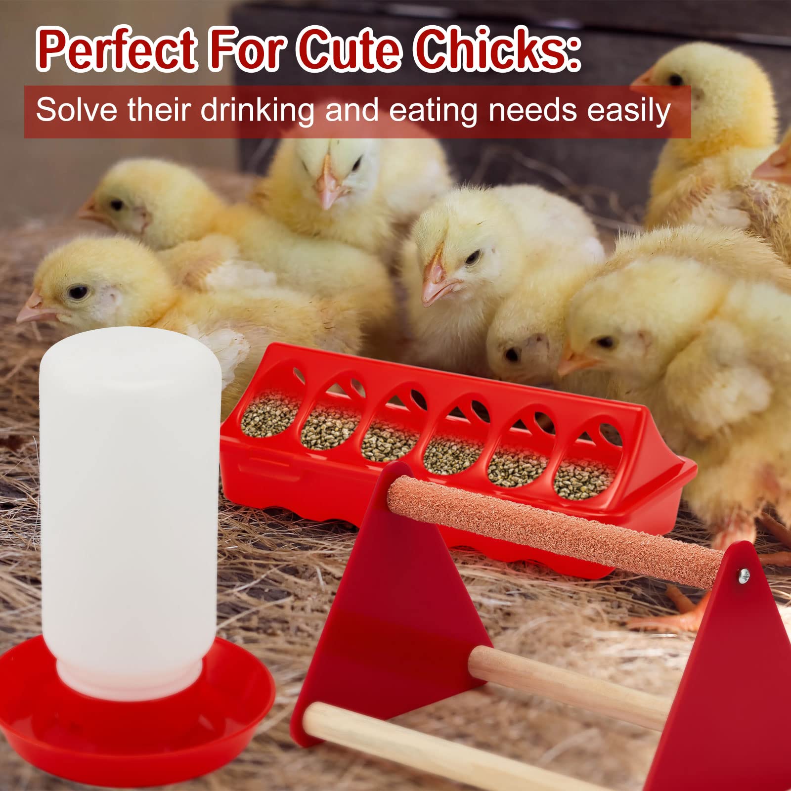 Patelai coop setup with kit ready for brooder or yard use