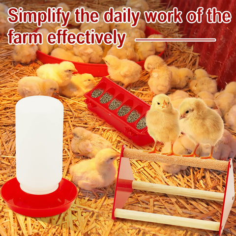 Patelai coop setup using the feeder, waterer, and perches together