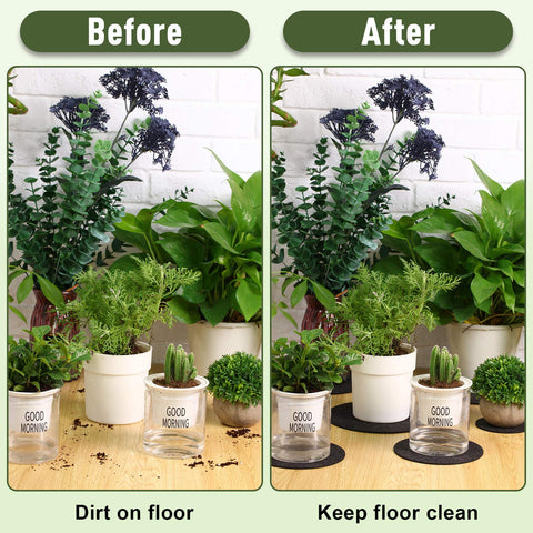 Patelai cork plant coaster 8-inch provides a wide base for larger pots and protection