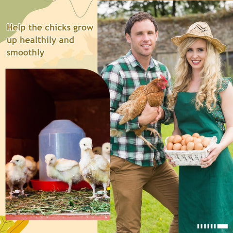 Patelai easy-application leg brace for chicks reduces handling stress during fitting