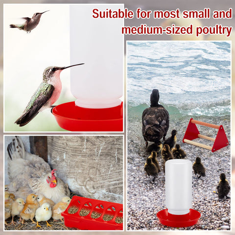 Patelai easy-clean design simplifies maintenance in coop or brooder