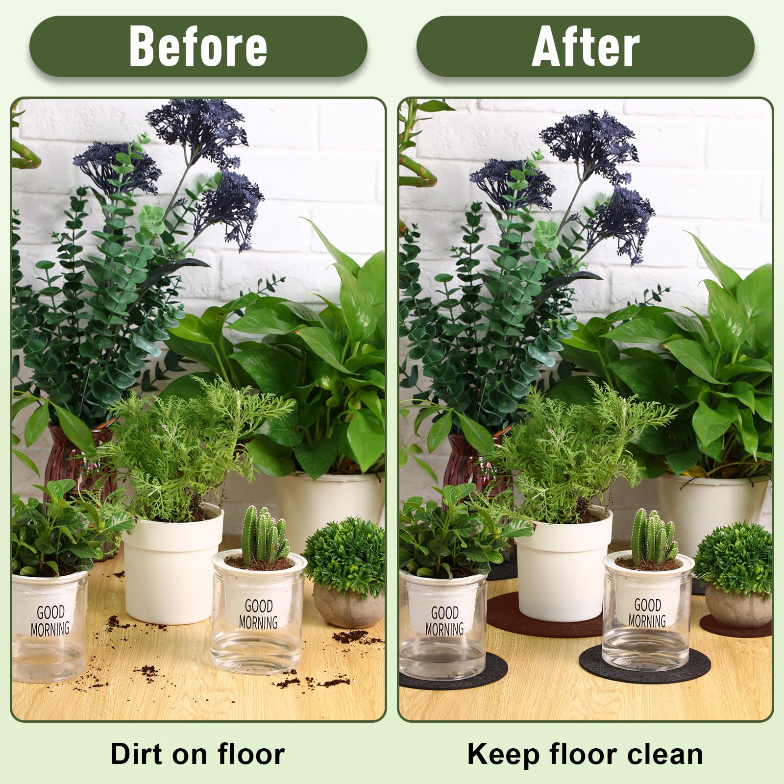 Patelai garden setup showcasing indoor outdoor use of coasters under pots.