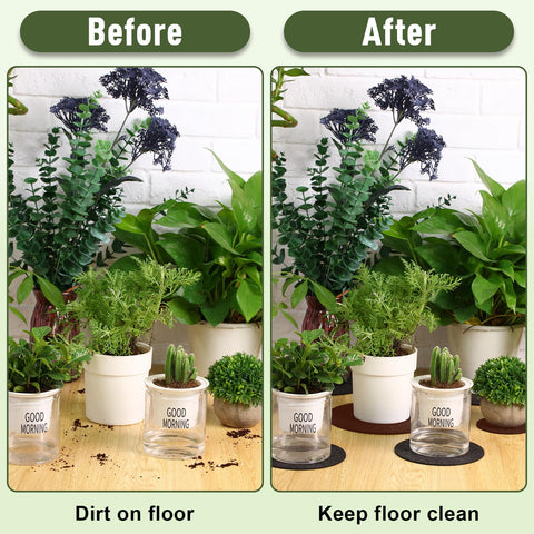 Patelai garden setup showcasing indoor outdoor use of coasters under pots.