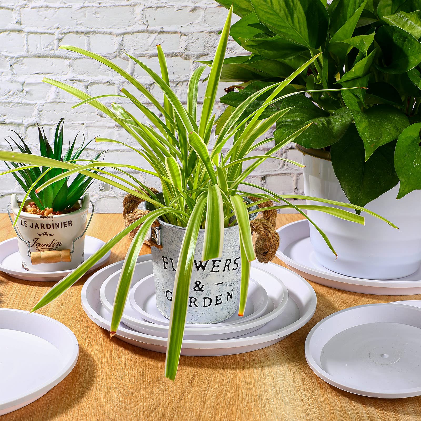 Patelai gift idea plant saucers for practical home gardeners.