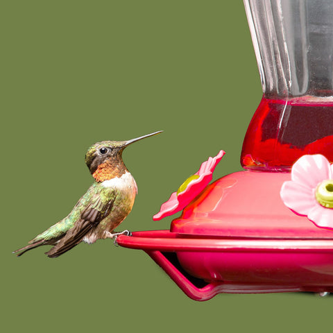 Patelai outdoor-use replacement flowers to keep water clean and protected