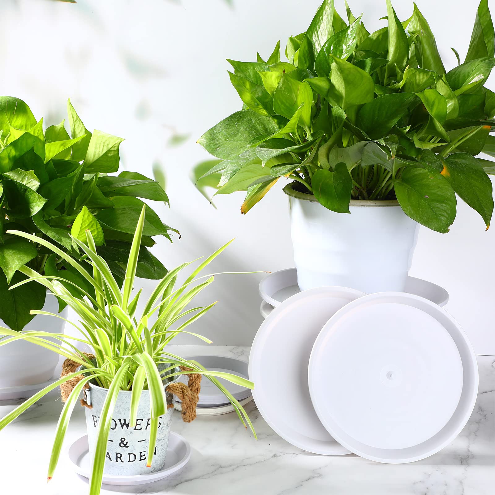 Patelai indoor-outdoor usage saucers suitable for patios and balconies.