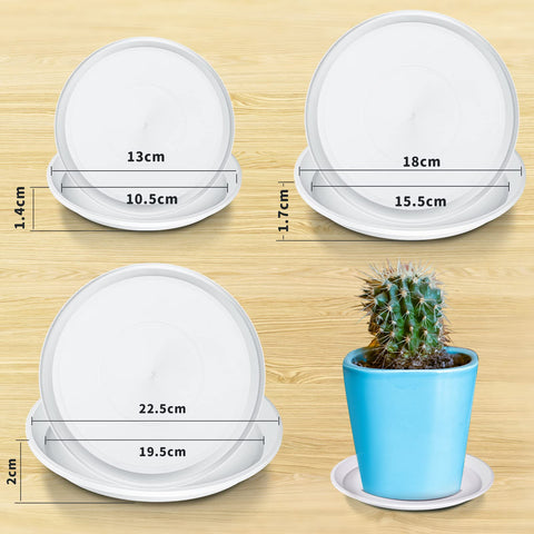 Patelai plant saucer 6-inch offers sturdy overflow catch for medium pots.