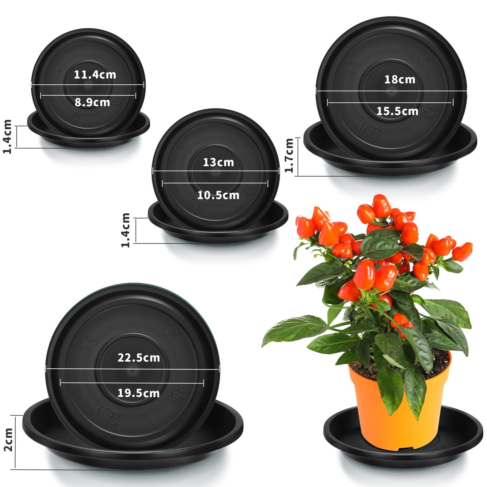 Patelai 6-inch round plant saucer beneath pot to prevent drips