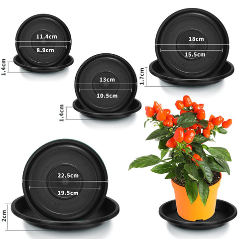 Patelai 6-inch round plant saucer beneath pot to prevent drips