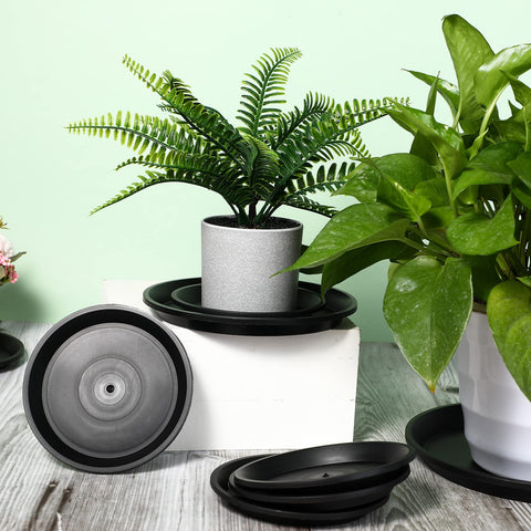 Patelai indoor-outdoor plant saucer set keeps gardening areas tidy
