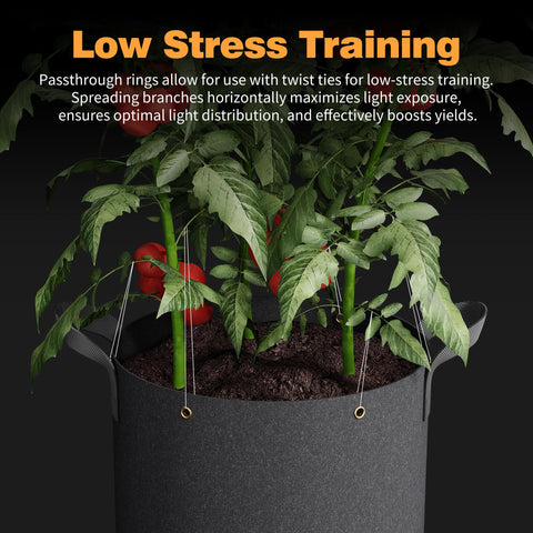 Patigrow 420G thick nonwoven fabric offers durability and breathability
