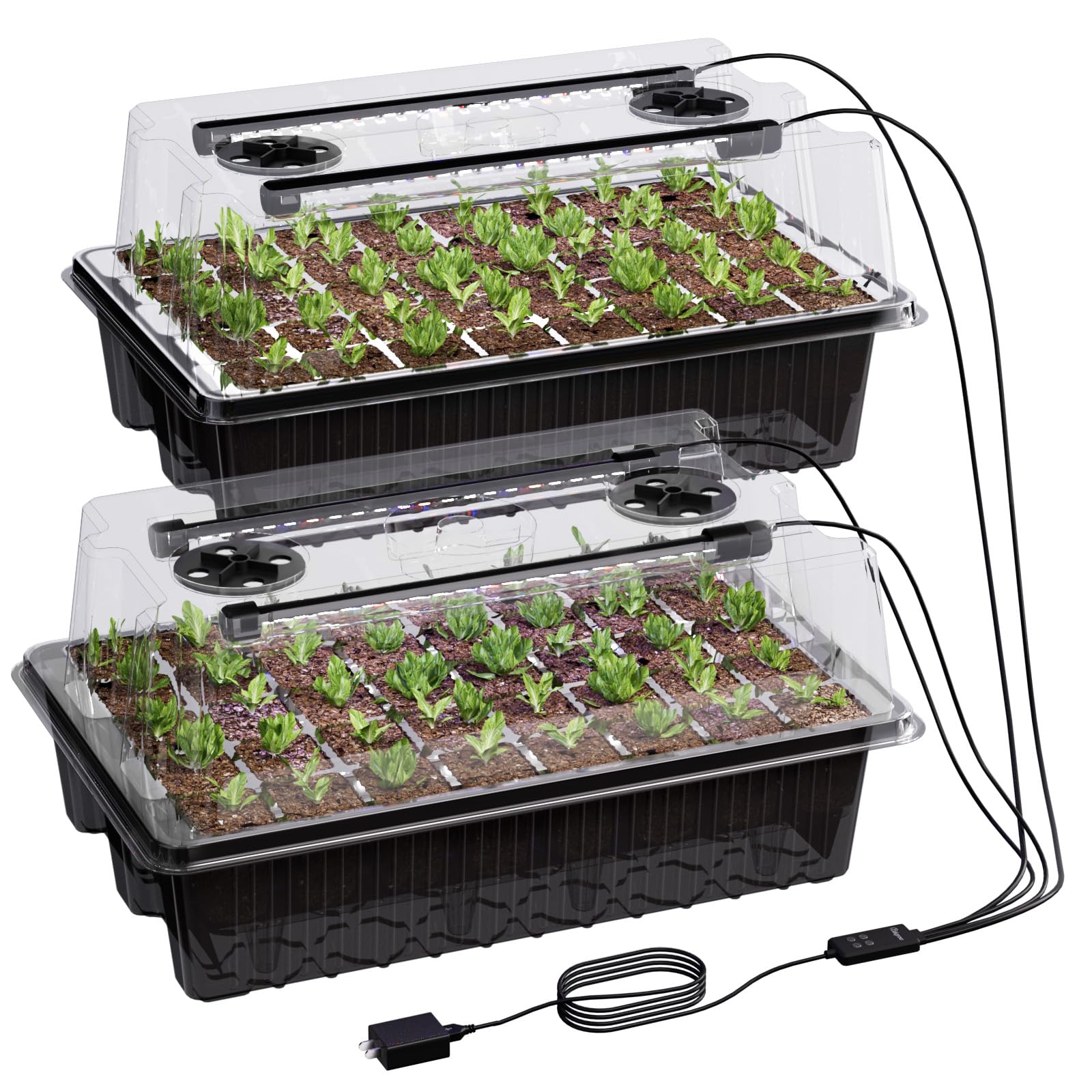 Patigrow 80-cell seed starter tray with grow light for indoor germination