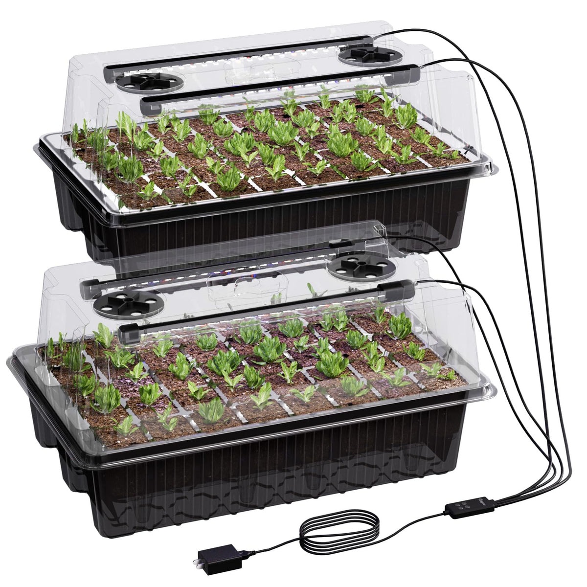 Patigrow 80-cell seed starter tray with grow light for indoor germination