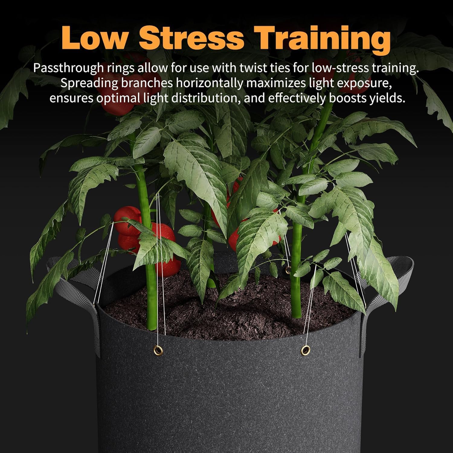 Patigrow built-in metal rings secure branches for low-stress training.