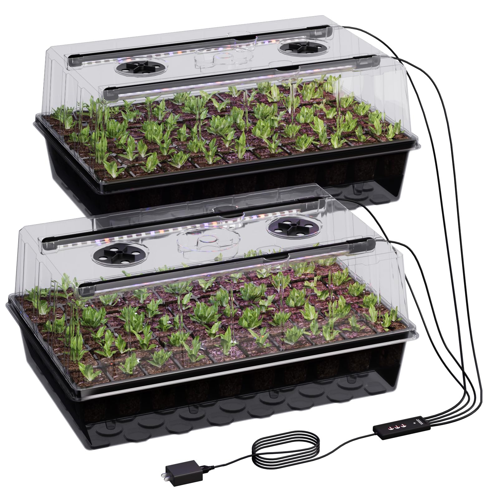 Patigrow grow light setup powering indoor seed germination
