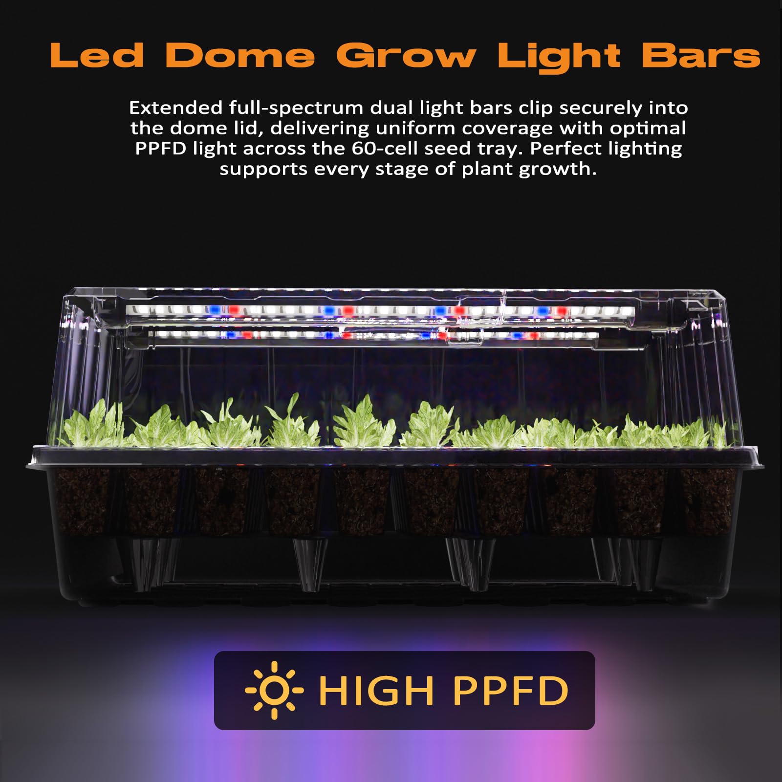Patigrow grow light strip providing adjustable brightness for healthy seedlings.