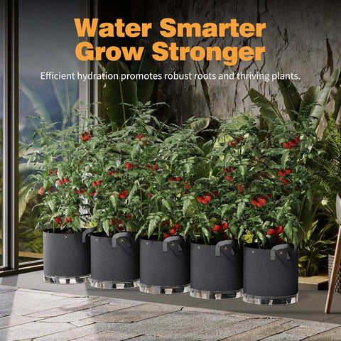 Patigrow multi-purpose rings assist training and trellising in tight spaces.