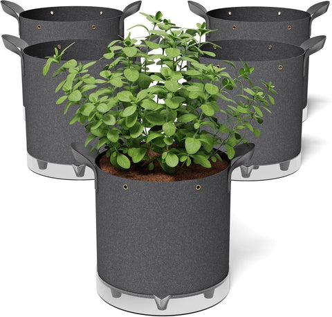 Patigrow self-watering bag reservoir keeps soil consistently moist for steady growth.