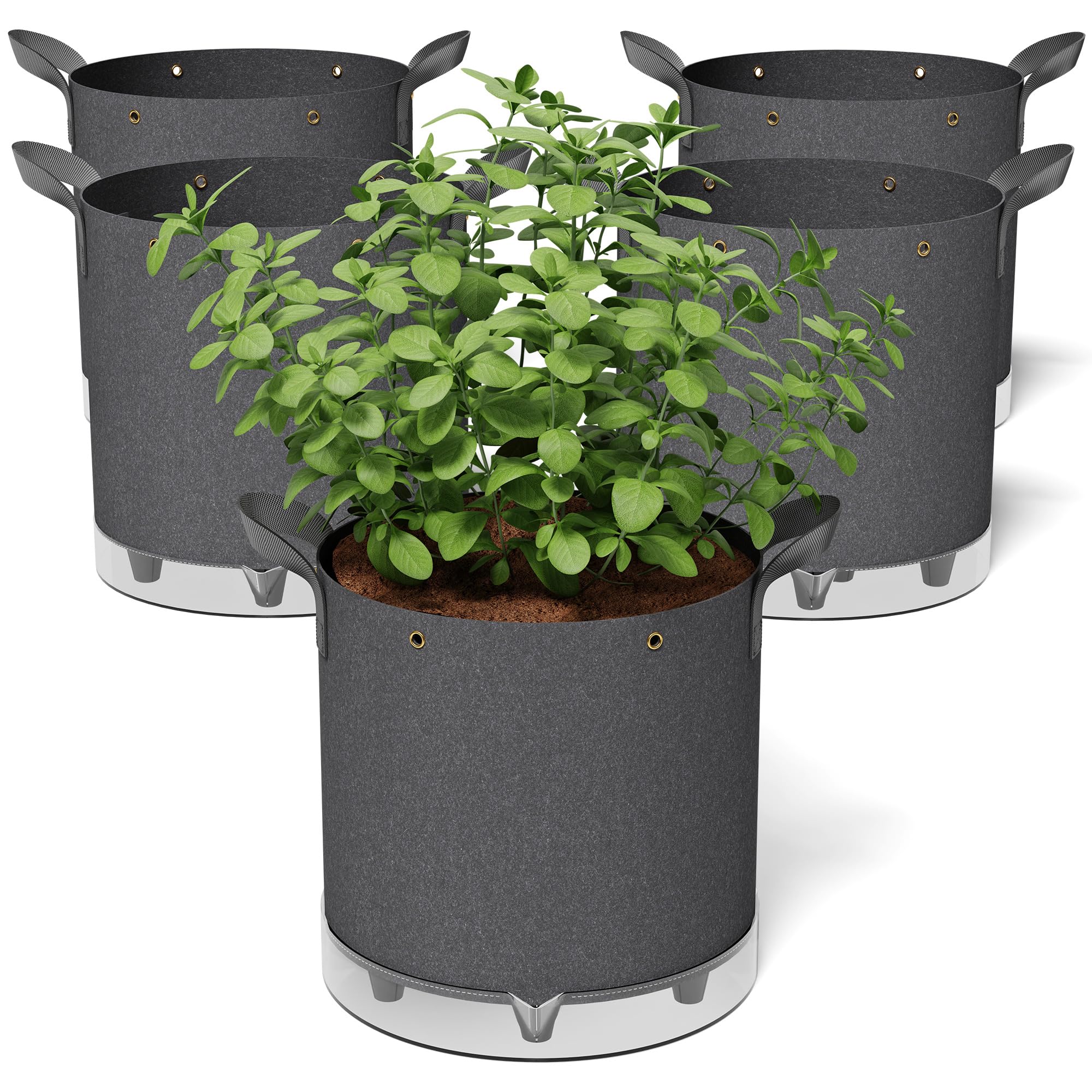 Patigrow self-watering grow bags with a 1-gallon reservoir for steady moisture