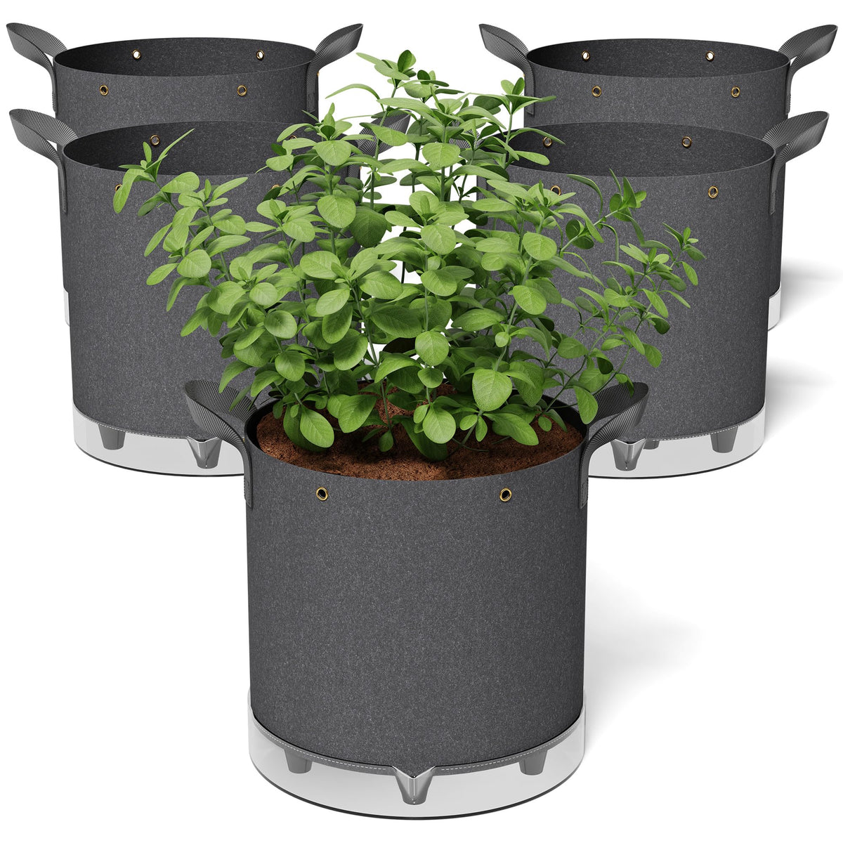 Patigrow self-watering grow bags with a 1-gallon reservoir for steady moisture