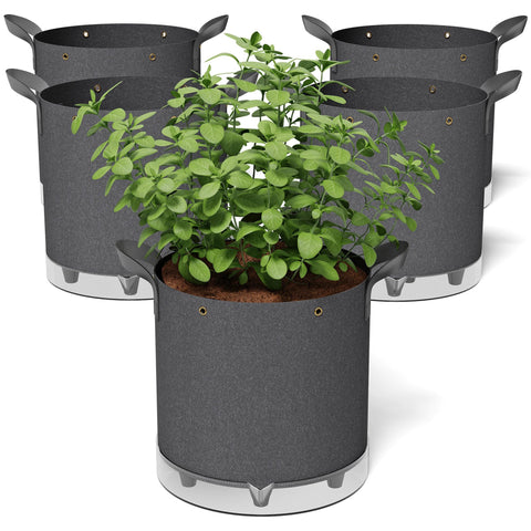 Patigrow self-watering grow bags with a 1-gallon reservoir for steady moisture
