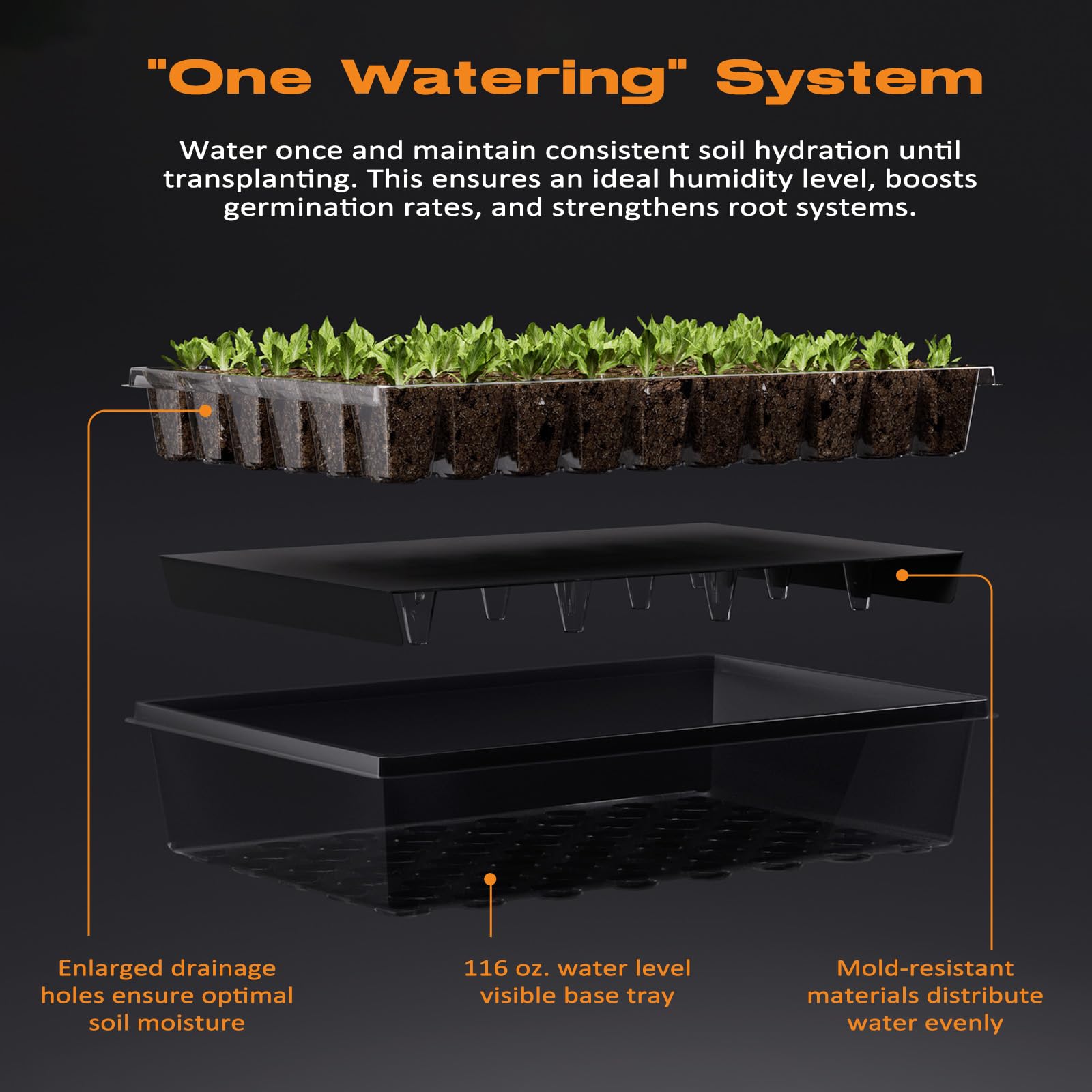 Patigrow self-watering system maintaining consistent moisture during germination to transplant.