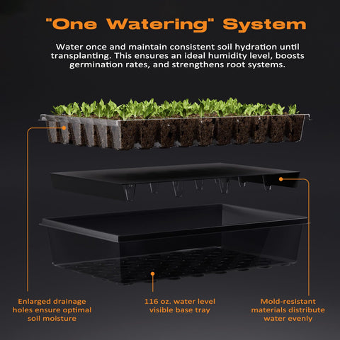 Patigrow self-watering system maintaining consistent moisture during germination to transplant.