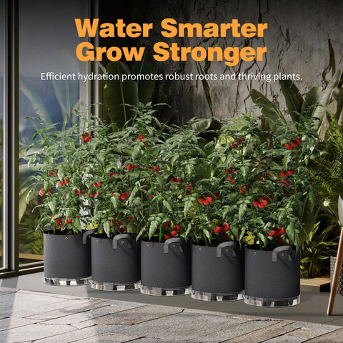 Patigrow water reservoir in a reusable system for convenient care