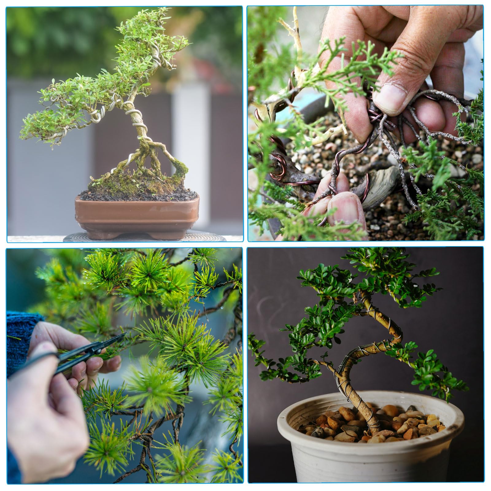 PATIKIL bonsai wire packaging shown for safe storage and handling.