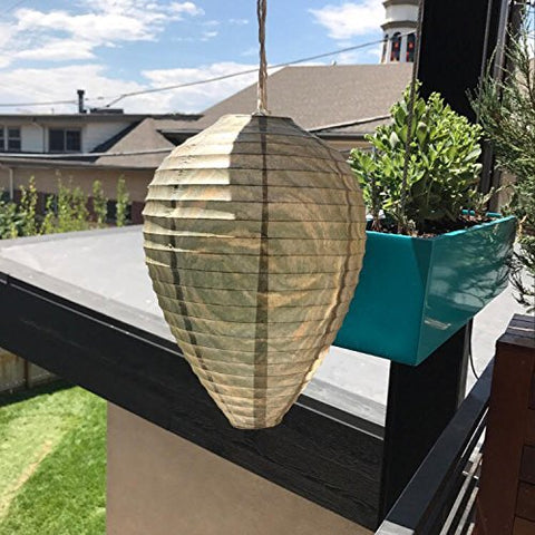 Patio Eden wasp nest decoy opened to reveal 8 x 11 inch size