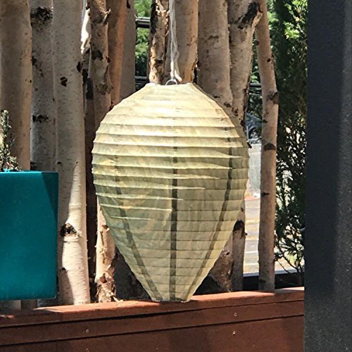 Patio Eden hanging setup shows ideal 6–8 feet above ground