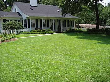 Patten Seed Company farm-direct packaging emphasizes direct-from-farm seed quality