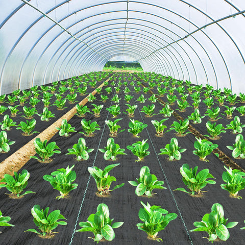 Pattiumo driveways and garden beds benefit from stable ground cover.