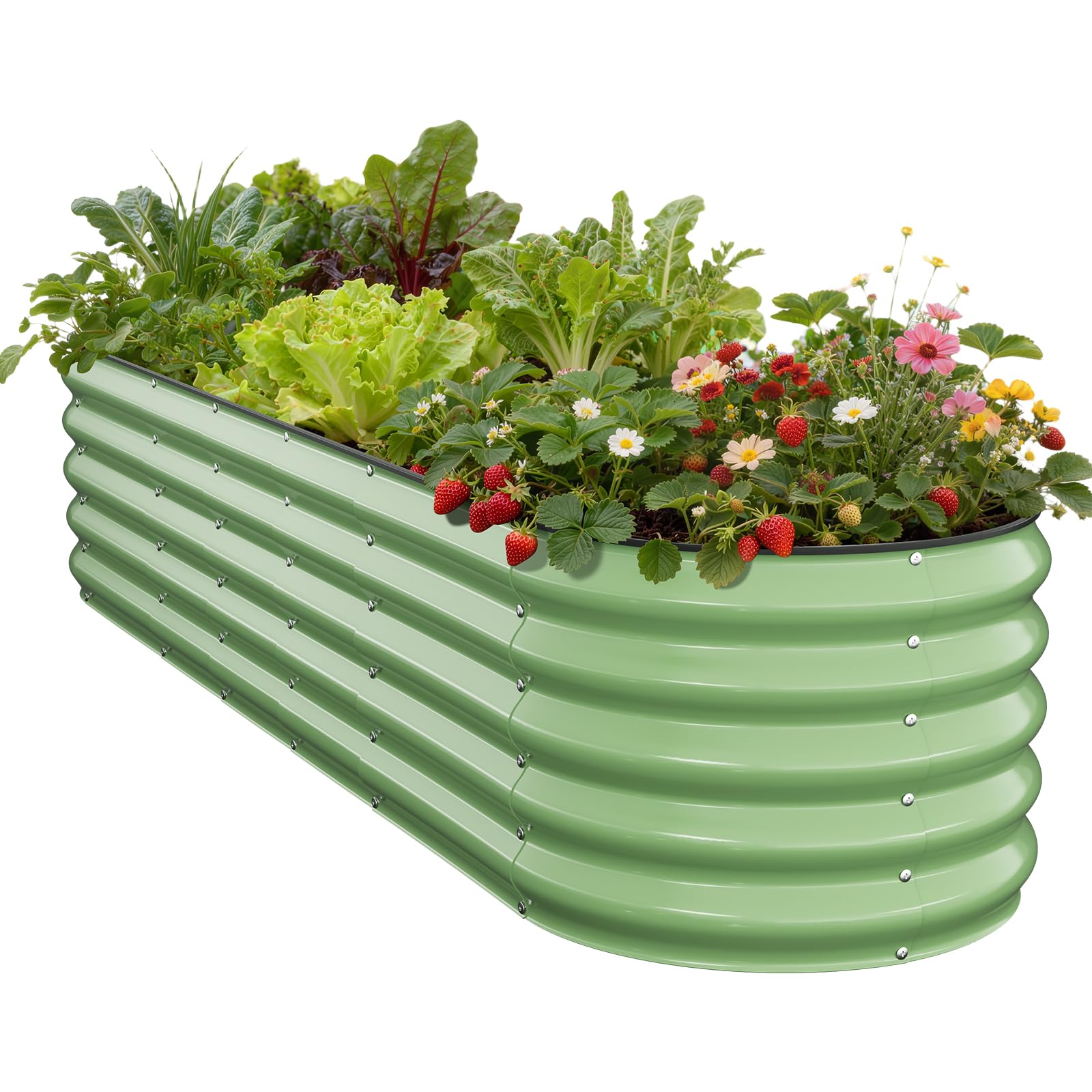 Pattiumo galvanized raised bed in a sunny garden ready for vegetables