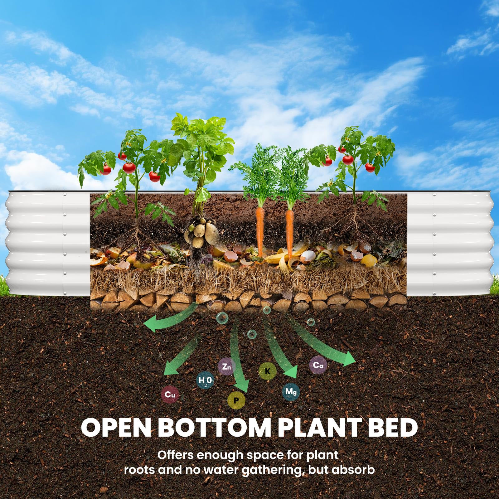Pattiumo bed in garden with thriving vegetables